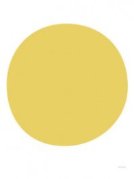 avalisa-yellow-circle